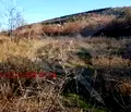 Снимка 2 — Парцел в Пловдив, с. Брестовица