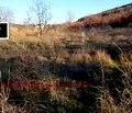 Снимка 3 — Парцел в Пловдив, с. Брестовица