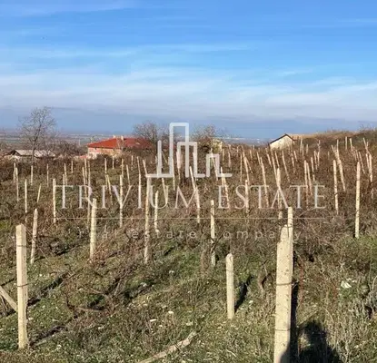 Снимка 4 — Парцел в Пловдив, с. Брестовица