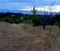 Снимка 2 — Парцел в Пловдив, с. Брестовица