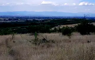 Парцел в Пловдив, с. Брестовица