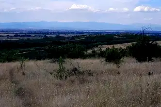 Парцел в Пловдив, с. Брестовица