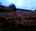 Снимка 4 — Парцел в Пловдив, с. Цар Калоян