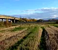 Снимка 2 — Парцел в Пловдив, с. Царацово