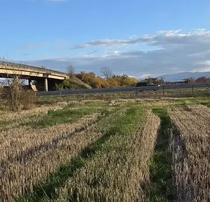 Снимка 2 — Парцел в Пловдив, с. Царацово