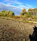 Парцел в Пловдив, с. Царацово