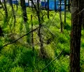 Снимка 2 — Парцел в Пловдив, с. Царацово