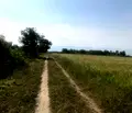 Снимка 3 — Парцел в Пловдив, с. Царацово