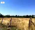 Снимка 3 — Парцел в Пловдив, с. Черничево