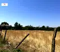 Снимка 5 — Парцел в Пловдив, с. Черничево