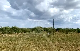 Парцел в Пловдив, с. Черничево