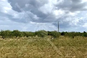 Парцел в Пловдив, с. Черничево