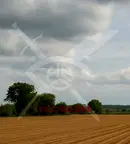 Парцел в Пловдив, с. Червен