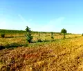 Снимка 2 — Парцел в Пловдив, с. Червен
