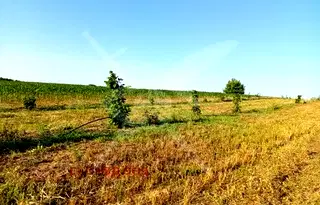 Парцел в Пловдив, с. Червен