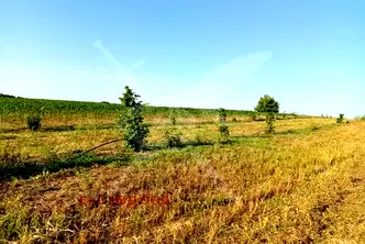 Парцел в Пловдив, с. Червен