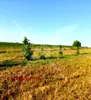 Парцел в Пловдив, с. Червен