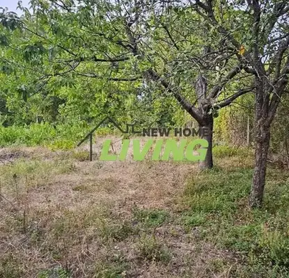 Photo 2 — Plot in Oblast Plovdiv, Cherven