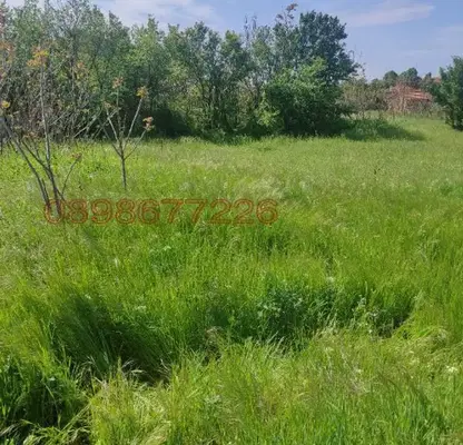 Снимка 3 — Парцел в Пловдив, с. Чоба