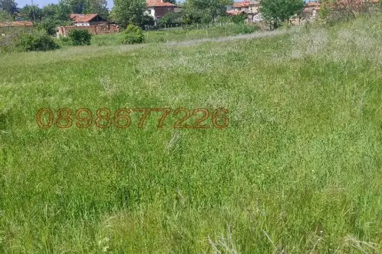 Plot in Oblast Plovdiv, Choba