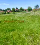 Парцел в Пловдив, с. Чоба