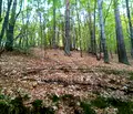 Снимка 2 — Парцел в Пловдив, с. Дедево