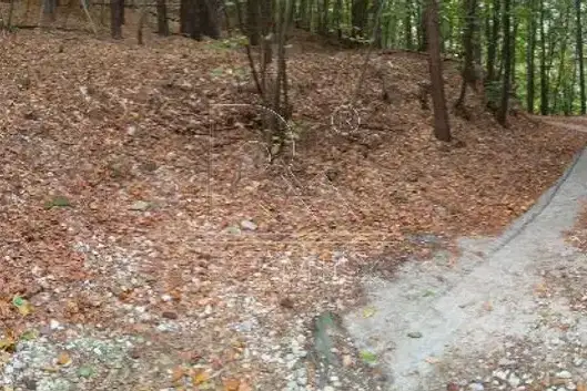 Парцел в Пловдив, с. Дедево