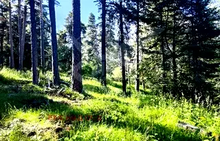 Парцел в Пловдив, с. Добралък