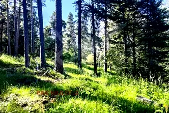 Парцел в Пловдив, с. Добралък
