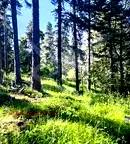 Парцел в Пловдив, с. Добралък