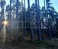 Снимка 2 — Парцел в Пловдив, с. Добралък