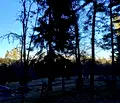 Снимка 3 — Парцел в Пловдив, с. Добралък
