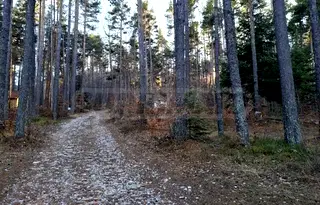 Парцел в Пловдив, с. Добралък