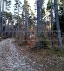 Парцел в Пловдив, с. Добралък
