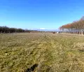 Снимка 4 — Парцел в Пловдив, с. Дъбене