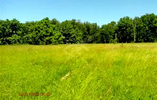 Парцел в Пловдив, с. Голям чардак