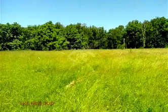 Парцел в Пловдив, с. Голям чардак