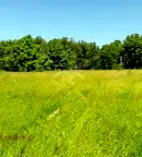 Парцел в Пловдив, с. Голям чардак