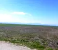 Снимка 3 — Парцел в Пловдив, с. Градина