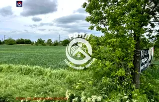 Парцел в Пловдив, с. Граф Игнатиево