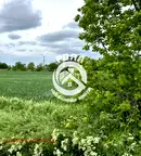Парцел в Пловдив, с. Граф Игнатиево