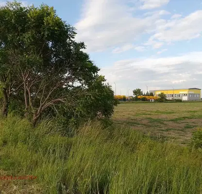 Photo 2 — Plot in Oblast Plovdiv, Graf Ignatievo