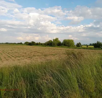 Photo 3 — Plot in Oblast Plovdiv, Graf Ignatievo
