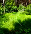 Парцел в Пловдив, с. Гълъбово