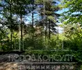 Снимка 2 — Парцел в Пловдив, с. Гълъбово