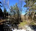Снимка 3 — Парцел в Пловдив, с. Гълъбово