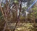 Снимка 3 — Парцел в Пловдив, с. Гълъбово
