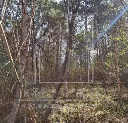 Photo 3 — Plot in Plovdiv, Gylybovo