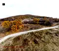 Снимка 3 — Парцел в Пловдив, с. Гълъбово