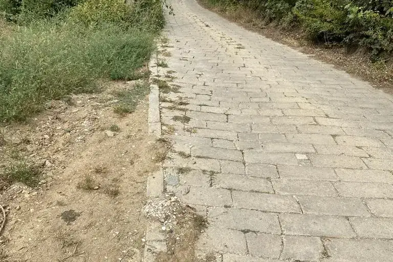 Plot in Oblast Plovdiv, Hrabrino